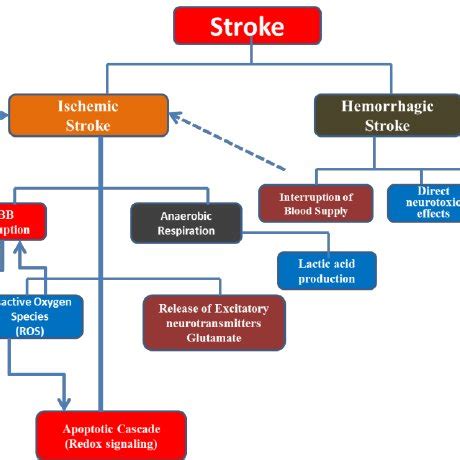 stroke volume chart pdf